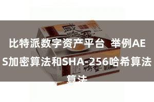 比特派数字资产平台  举例AES加密算法和SHA-256哈希算法