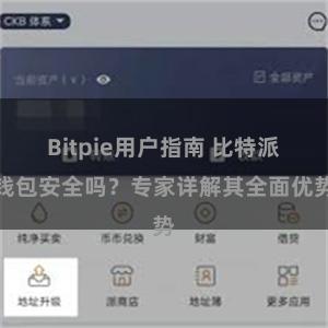 Bitpie用户指南 比特派钱包安全吗？专家详解其全面优势