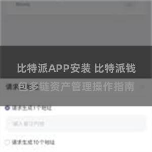 比特派APP安装 比特派钱包多链资产管理操作指南