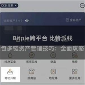 Bitpie跨平台 比特派钱包多链资产管理技巧：全面攻略