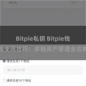 Bitpie私钥 Bitpie钱包使用技巧：多链资产管理全攻略