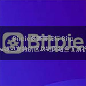 Bitpie多语言支持 Bitpie钱包支持的区块链网络全面解析