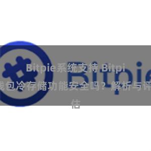 Bitpie系统支持 Bitpie钱包冷存储功能安全吗？解析与评估