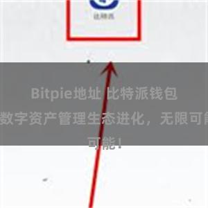 Bitpie地址 比特派钱包：数字资产管理生态进化，无限可能！