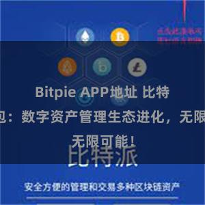 Bitpie APP地址 比特派钱包：数字资产管理生态进化，无限可能！