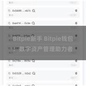 Bitpie新手 Bitpie钱包：数字资产管理助力者