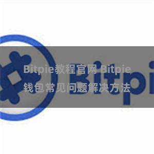 Bitpie教程官网 Bitpie钱包常见问题解决方法