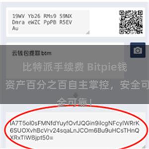 比特派手续费 Bitpie钱包：资产百分之百自主掌控，安全可靠！