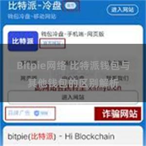 Bitpie网络 比特派钱包与其他钱包的区别解析