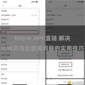 Bitpie APP直链 解决比特派钱包使用问题的实用技巧