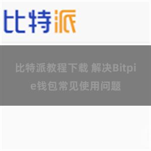 比特派教程下载 解决Bitpie钱包常见使用问题