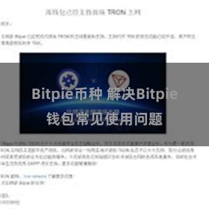 Bitpie币种 解决Bitpie钱包常见使用问题