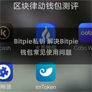 Bitpie私钥 解决Bitpie钱包常见使用问题