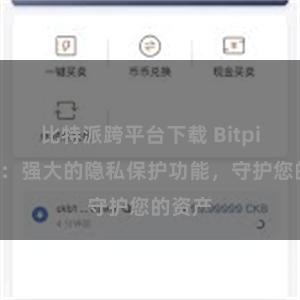 比特派跨平台下载 Bitpie钱包：强大的隐私保护功能，守护您的资产