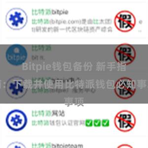 Bitpie钱包备份 新手指南：下载并使用比特派钱包必知事项