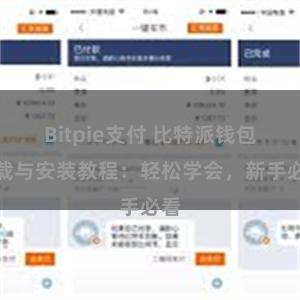 Bitpie支付 比特派钱包下载与安装教程：轻松学会，新手必看