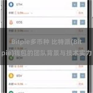 Bitpie多币种 比特派(Bitpie)钱包的团队背景与技术实力