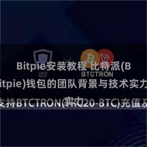 Bitpie安装教程 比特派(Bitpie)钱包的团队背景与技术实力