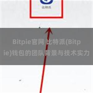 Bitpie官网 比特派(Bitpie)钱包的团队背景与技术实力