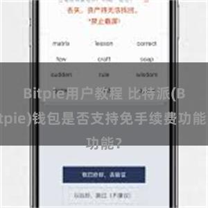 Bitpie用户教程 比特派(Bitpie)钱包是否支持免手续费功能？