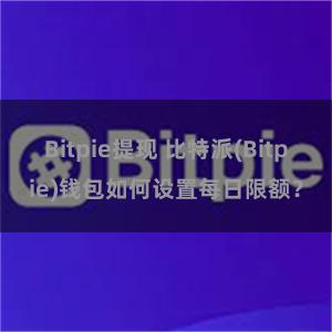 Bitpie提现 比特派(Bitpie)钱包如何设置每日限额？