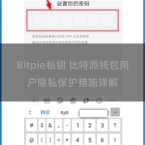 Bitpie私钥 比特派钱包用户隐私保护措施详解