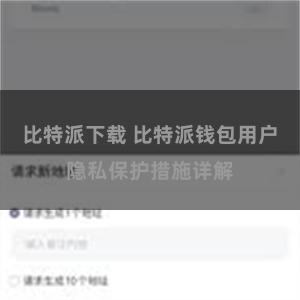 比特派下载 比特派钱包用户隐私保护措施详解