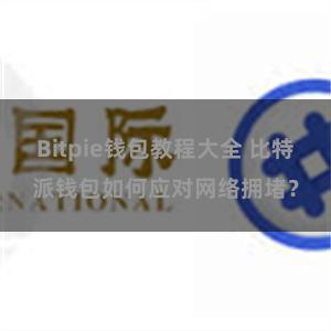 Bitpie钱包教程大全 比特派钱包如何应对网络拥堵？