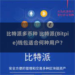 比特派多币种 比特派(Bitpie)钱包适合何种用户？