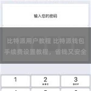 比特派用户教程 比特派钱包手续费设置教程，省钱又安全