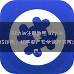 Bitpie注册教程 Bitpie iOS钱包：数字资产安全管理的首选。