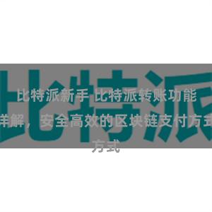 比特派新手 比特派转账功能详解，安全高效的区块链支付方式