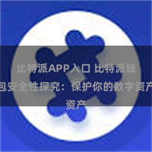 比特派APP入口 比特派钱包安全性探究：保护你的数字资产