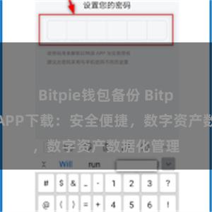 Bitpie钱包备份 Bitpie苹果版APP下载：安全便捷，数字资产数据化管理