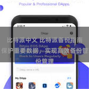 比特派中文 比特派备份指南：保护重要数据，实现高效备份管理