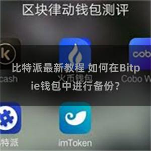 比特派最新教程 如何在Bitpie钱包中进行备份？