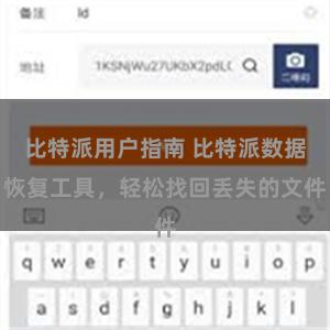 比特派用户指南 比特派数据恢复工具，轻松找回丢失的文件