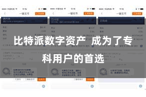 比特派数字资产  成为了专科用户的首选