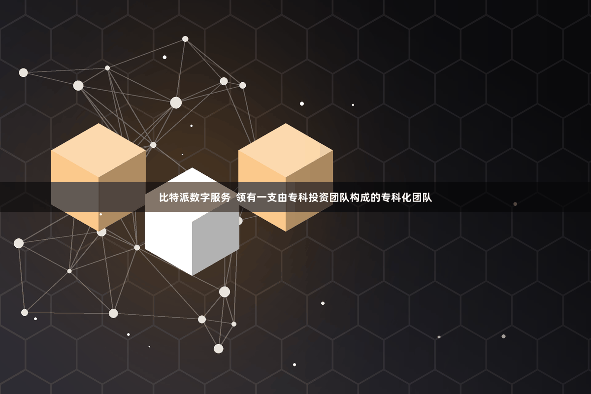 比特派数字服务  领有一支由专科投资团队构成的专科化团队